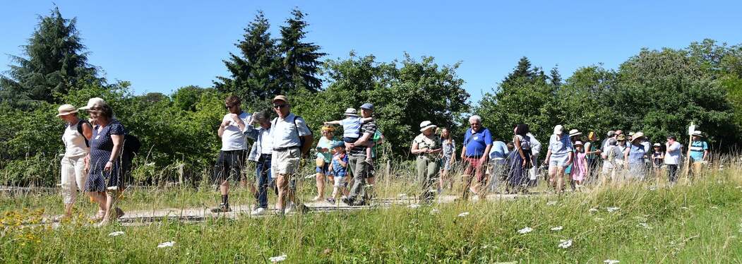 Marche des sentiers de la nature
